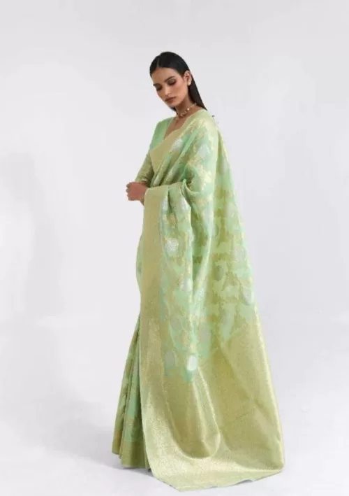 Pista green Chanderi saree with gold embellishment