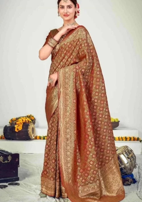 Fondue brown banarasi saree